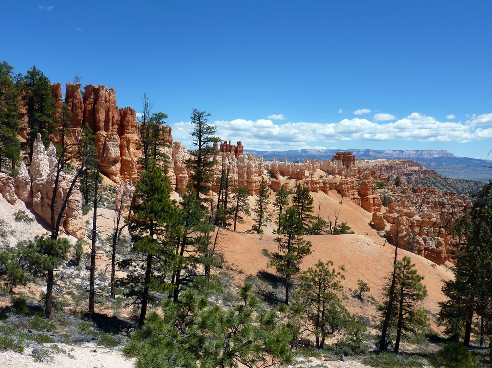 bryce canyon (89).JPG